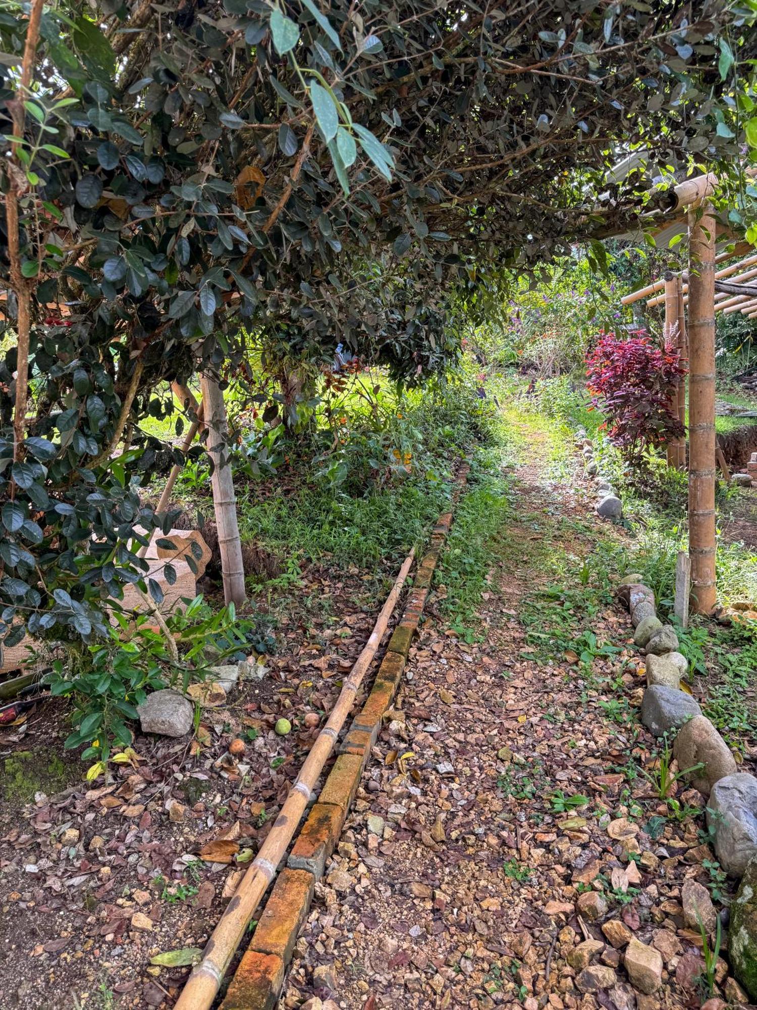Hostal Pachamama San Agustín Exteriör bild